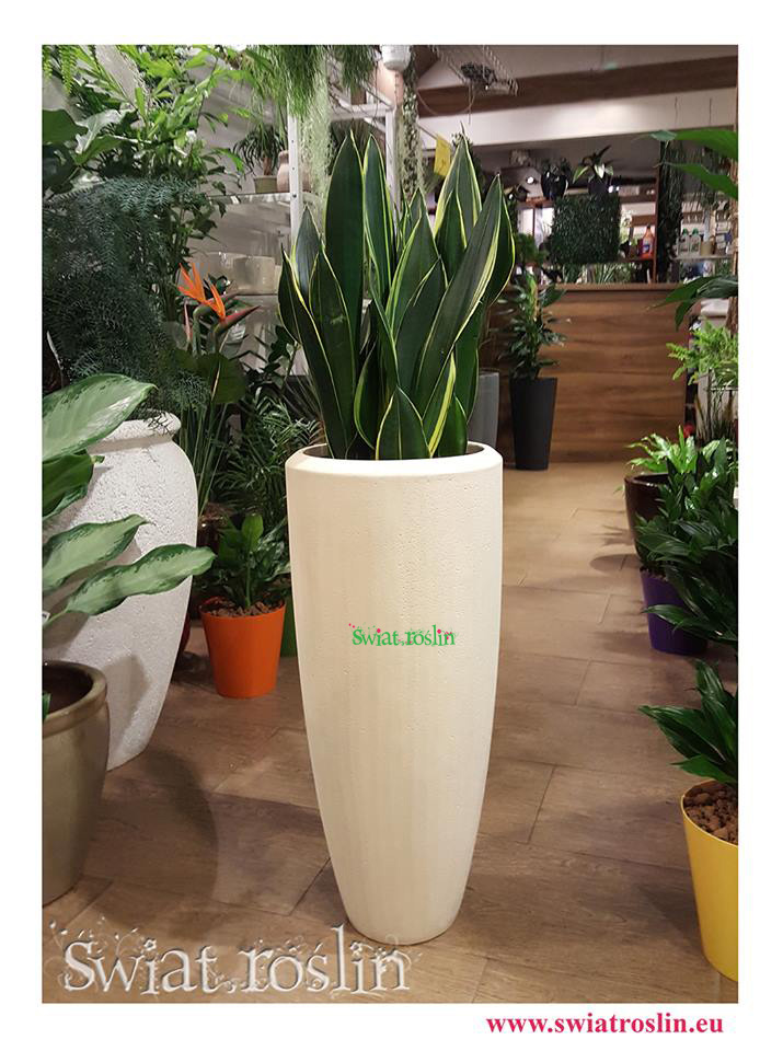 donica naturalna,Donica naturalna - Polystone Partner Natural, rosliny doniczkowe sklep internetowy, Świat Roślin, donice, doniczki, kwiaty doniczkowe, wysyłka roślin