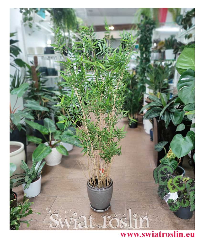 Bambus sztuczny, Bamboo Oriental, Roślina sztuczna, Bambus, Sztuczny Bambus, sklep z roślinami sztucznymi online